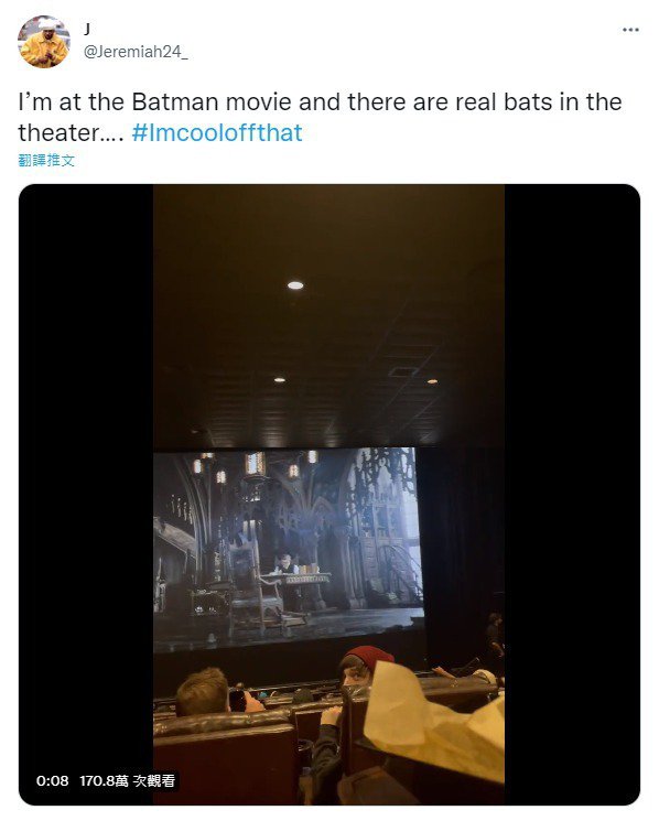 网友看《新蝙蝠侠》影厅惊见真蝙蝠飞入，画面曝光