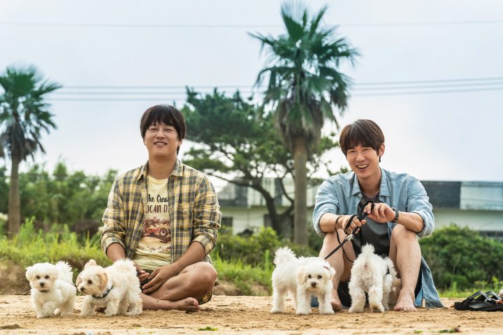 韩国国影《小奶狗》百度云网盘（高清版）免费在线资源